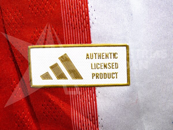 Camiseta Bayern Munich Luis Diaz