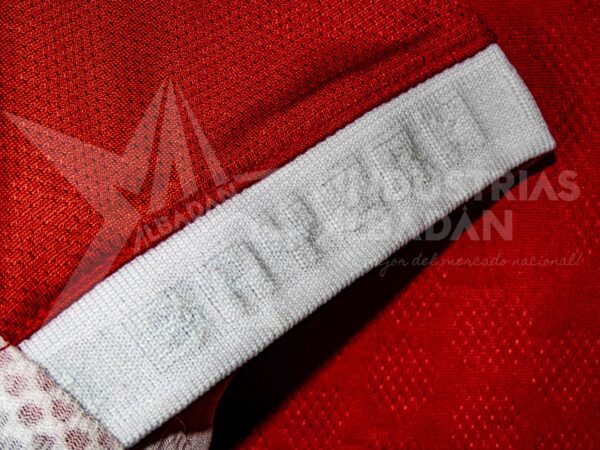 Camiseta Bayern Munich Luis Diaz