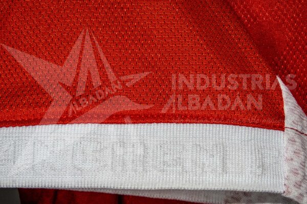 Camiseta Bayern Munich Luis Diaz